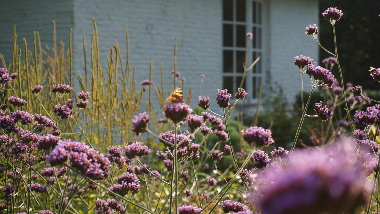 Het Witte Kasteel Villa Loon op Zand Esterno foto